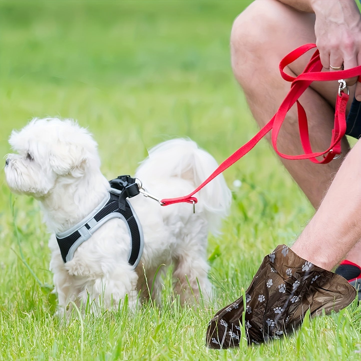 150/300/600pcs Random Color Cartoon Paw Graphic Dog Poop Bags Pet Poop Bags Leak-Proof Dog Waste Bags For Pet Supplies